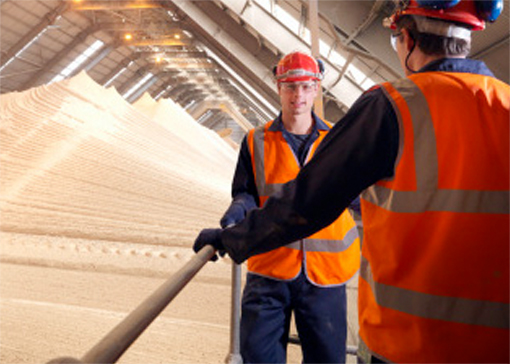 two construction workers conversing in machinery